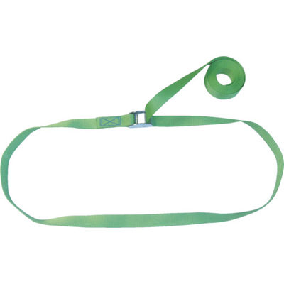 テザック TESAC ラッシングベルト(ベルト荷締機)カムバックル式エンドレスタイプ C03N040-000AG 1台(4m)（直送品）