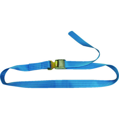 テザック TESAC ラッシングベルト(ベルト荷締機)カムバックル式エンドレスフックタイプ C15K000-KD040A 1本(1個)（直送品）