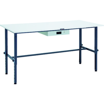 RAEM-1809UDK1 DG（直送品）