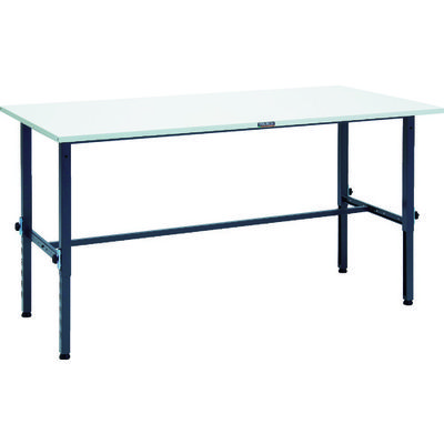 SAEM-1809 DG（直送品）