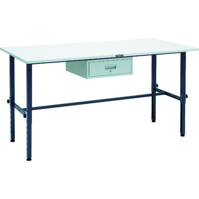 SAEM-1809F1 DG（直送品）