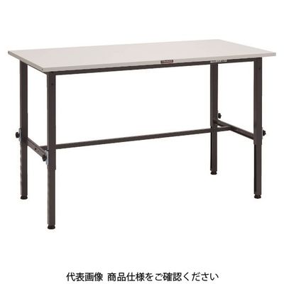 SAEM-1260 DG（直送品）