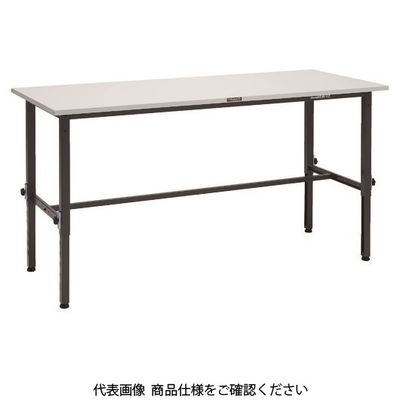 SAEM-1860 DG（直送品）