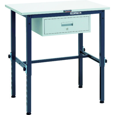 SAEM-0960F1 DG（直送品）