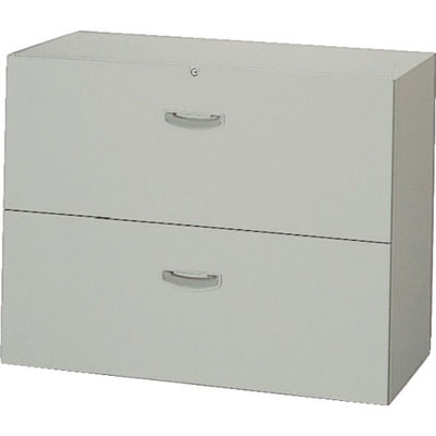 ナイキ 書庫”NWタイプ ファイル引出し 2段 899×450×700 NW-0907S-2-AW 1台 463-2401（直送品）