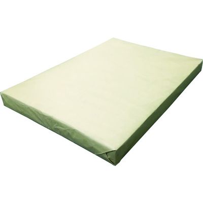 積水化学工業 積水 リサイクルペーパー 平版538X765 (500枚入) RP5376 1箱(500枚) 819-9228（直送品）