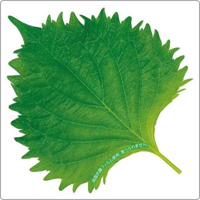 ユニバース グルメシート 抗菌大葉 角 85×85 10113 1包：24000枚（1000×24）（直送品）