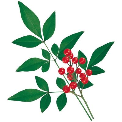 ユニバース グルメシート 南天 丸 10801 1包：24000枚（1000×24）（直送品）