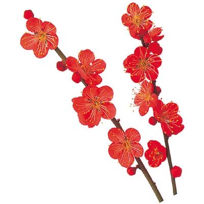 ユニバース グルメシート 梅 丸 11001 1包：24000枚（1000×24）（直送品）