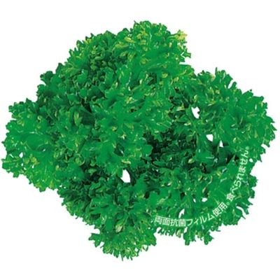 ユニバース グルメシート 抗菌パセリ 丸 11203 1包：24000枚（1000×24）（直送品）