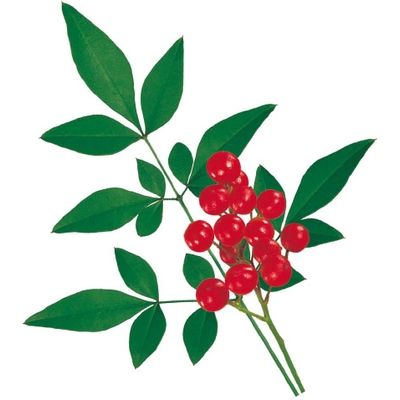 ユニバース グルメシート 南天S 丸小 12701 1包：24000枚（1000×24）（直送品）