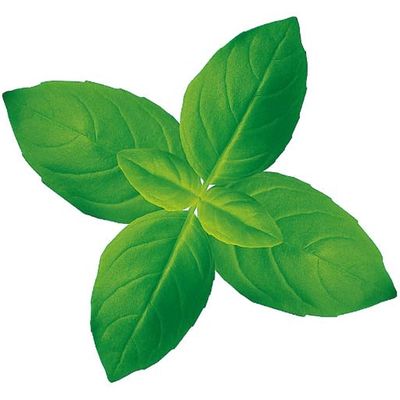 ユニバース グルメシート バジル 丸 13001 1包：24000枚（1000×24）（直送品）