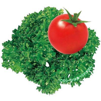 ユニバース グルメシート パセリトマト 表示入 丸 13601 1包：24000枚（1000×24）（直送品）