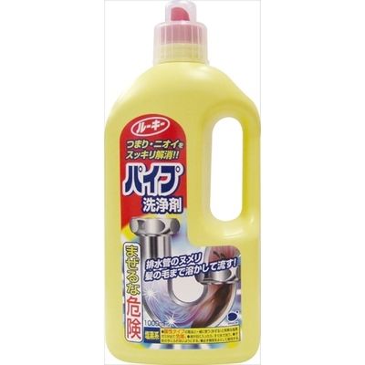 第一石鹸 ルーキー パイプ洗浄剤 1000ml 4902050687162 1セット(12個)（直送品）