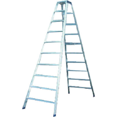 ピカコーポレイション PiCa 専用脚立BM型 天板幅広タイプ 天板高さ3m BM-A300 1台 242-9161（直送品）