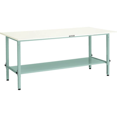 AEM-0960LT2 W（直送品）