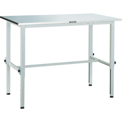 AEM-1809SUS W（直送品）