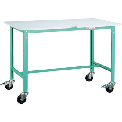 RAE-0960C100 YG（直送品）