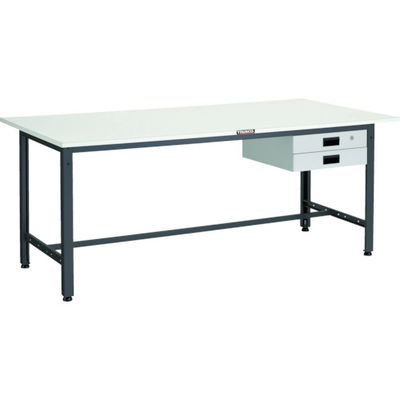 TRUSCO 軽荷重作業台(400kg)LEW型 1800X900XH740 薄型2段引出付 ダークグレー色 LEWP-1809UDK2（直送品）