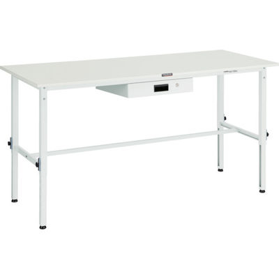 RAEM-1809UDK1 W（直送品）