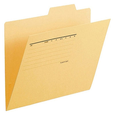 プラス 個別フォルダー B5E 黄 10枚 FL-067IFYL（10）（直送品）