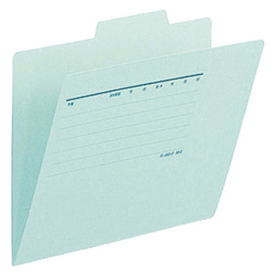 プラス 個別フォルダー A5E 青 10枚 FL-066IFBL（10）（直送品）