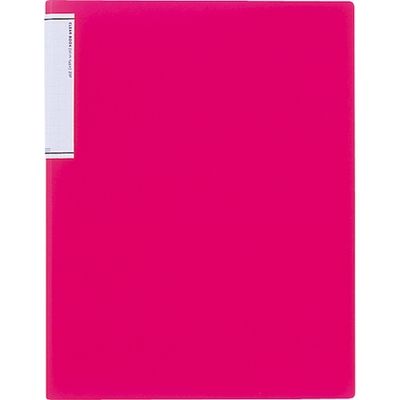 リヒトラブ クリヤーブック 赤 10冊 N-7110-3-10 1セット（直送品）