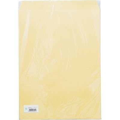 寿堂 大型クラフト封筒A3マチなし10枚パック*10 3854（10）（直送品）
