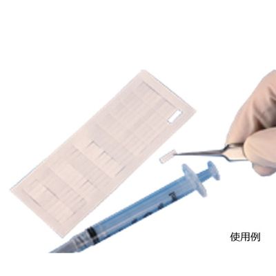 S2X10/6G（直送品）