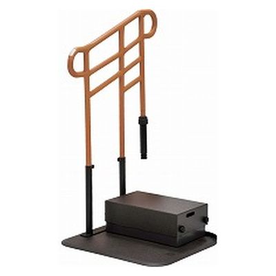 モルテン ルーツ　あがりかまちタイプ高さH型台付　片手すり　MNTPKH1SBR 4905741906733 1台（直送品）