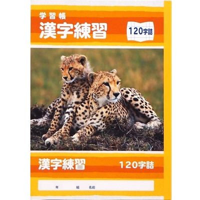 サンフレイムジャパン Ｂ5学習帳　漢字練習　120字 500-2428 1セット（10冊）（直送品）