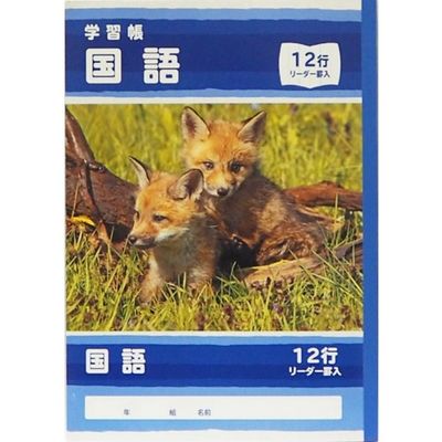サンフレイムジャパン B5学習帳 国語 12行 500-2432 1セット(10冊)（直送品）