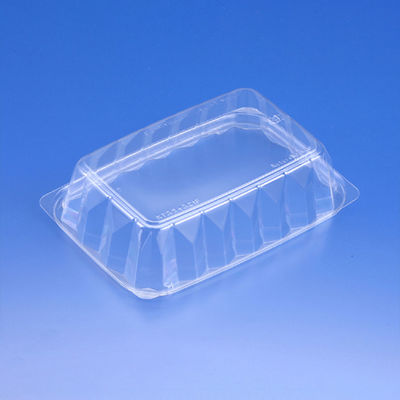 ニュートカップ NTスライス 21F　800枚(50×16) PYBL315　リスパック（直送品）