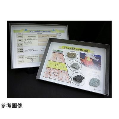 アズワン おもな堆積岩 67-8046-95 1箱（直送品）