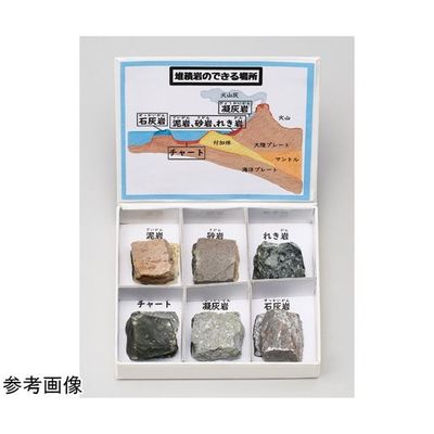 アズワン ミニ標本シリーズ 堆積岩6種セット 67-8047-13 1箱（直送品）