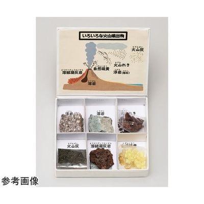 アズワン ミニ標本シリーズ 火山噴出物6種セット 67-8047-14 1箱（直送品）