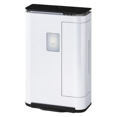 Deport オゾン発生器 Lyon3.0 24924000 TM-040Z(ホワイト) 1台（直送品）