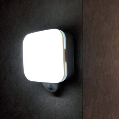 リーベックス カクピカ SLK500 1個 382-8961（直送品）