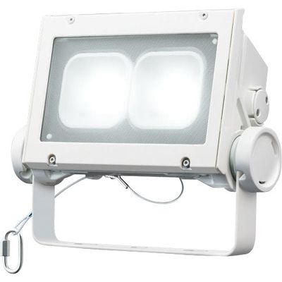 岩崎電気 岩崎 LED投光器(60クラス、超広角タイプ、昼白色タイプ) ECF6040SW/NSAN8/W 1台 535-6367（直送品）
