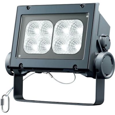 岩崎電気 岩崎 LED投光器(60クラス、中角タイプ、昼白色タイプ) ECF6040M/NSAN8/DG 1台 535-4793（直送品）