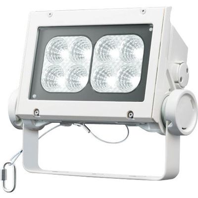 岩崎電気 岩崎 LED投光器(60クラス、中角タイプ、昼白色タイプ) ECF6040M/NSAN8/W 1台 535-7945（直送品）