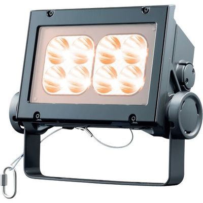 岩崎電気 岩崎 LED投光器(60クラス、狭角タイプ、電球色タイプ) ECF6040N/LSAN8/DG 1台 535-6339（直送品）