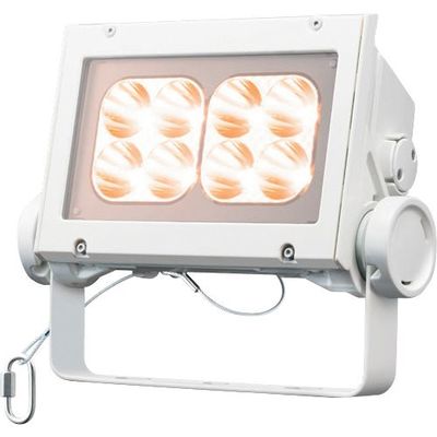 岩崎電気 岩崎 LED投光器(60クラス、狭角タイプ、電球色タイプ) ECF6040N/LSAN8/W 1台 535-6381（直送品）