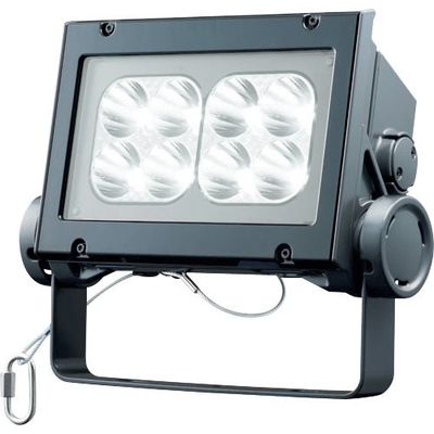岩崎電気 岩崎 LED投光器(60クラス、狭角タイプ、昼白色タイプ) ECF6040N/NSAN8/DG 1台 535-7899（直送品）