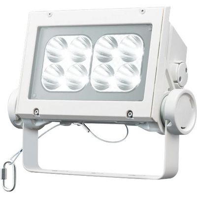 岩崎電気 岩崎 LED投光器(60クラス、狭角タイプ、昼白色タイプ) ECF6040N/NSAN8/W 1台 535-6394（直送品）