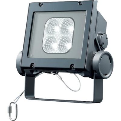 岩崎電気 岩崎 LED投光器(20クラス、中角タイプ、昼白色タイプ) ECF2040M/NSAN8/DG 1台 535-7990（直送品）