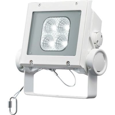 岩崎電気 岩崎 LED投光器(20クラス、中角タイプ、昼白色タイプ) ECF2040M/NSAN8/W 1台 535-4827（直送品）