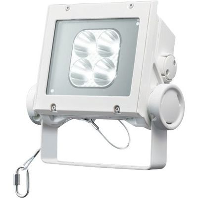 岩崎電気 岩崎 LED投光器(20クラス、狭角タイプ、昼白色タイプ) ECF2040N/NSAN8/W 1台 535-4809（直送品）