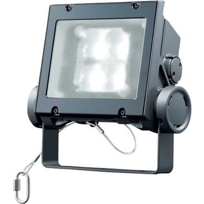 岩崎電気 岩崎 LED投光器(40クラス、広角タイプ、昼白色タイプ) ECF4040W/NSAN8/DG 1台 535-4779（直送品）