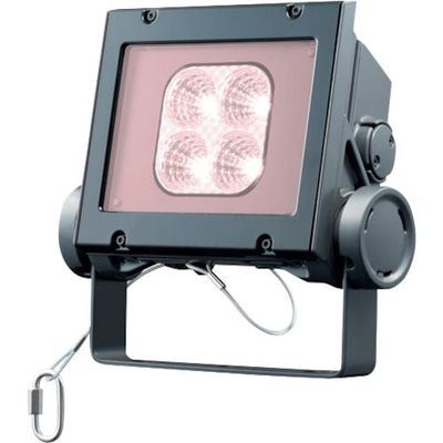 岩崎電気 岩崎 LED投光器(40クラス、中角タイプ、白色タイプ) ECF4040M/VWSAN8/DG 1台 535-7936（直送品）